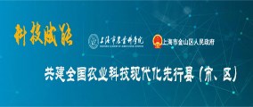 先行區(qū)共建